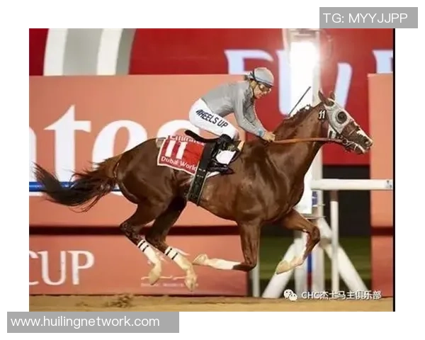 马字足球明星的传奇之路与辉煌成就探秘